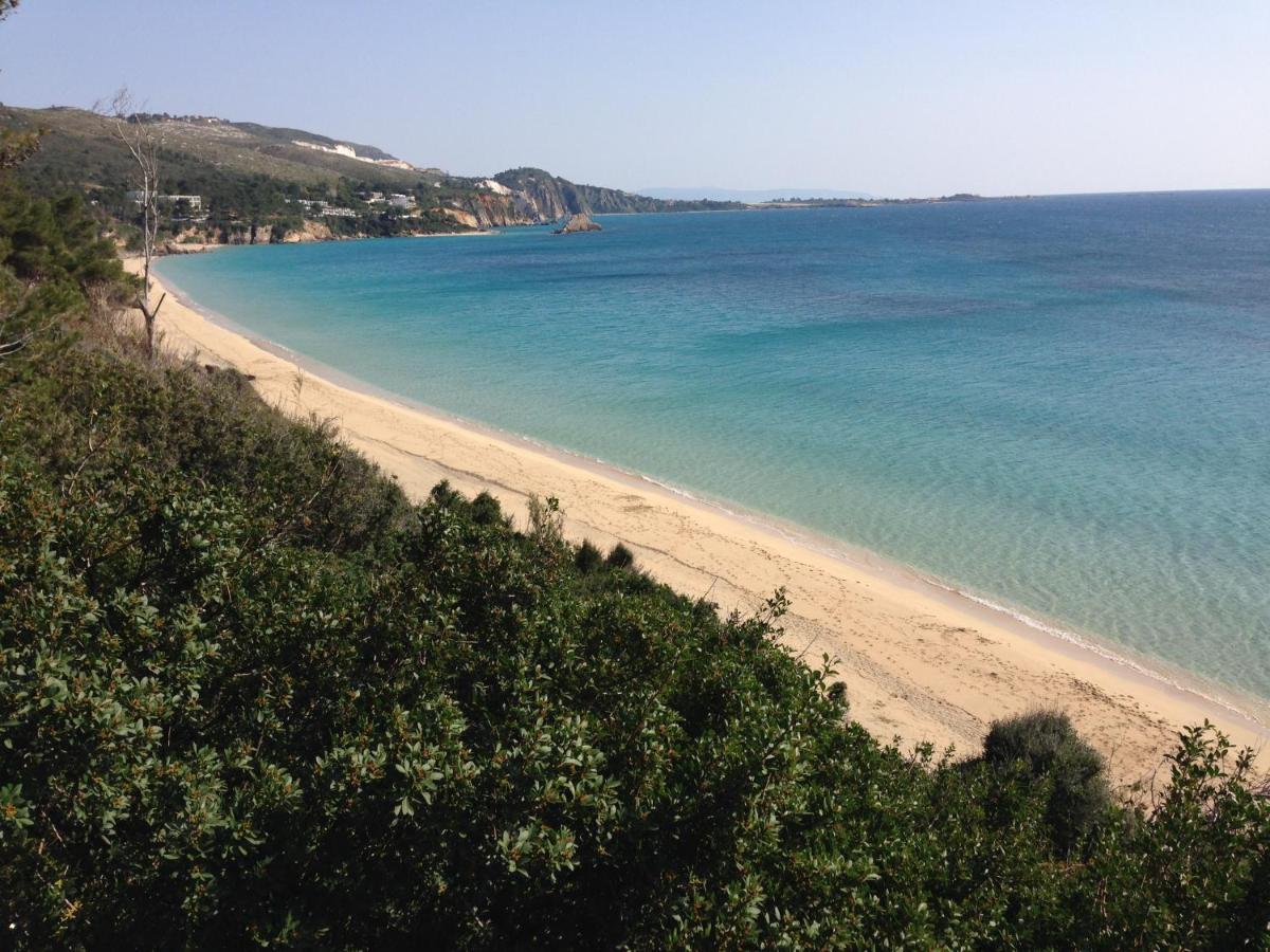 Villaparadiso Beach Front Villa Makris Gialos Argostoli (Kefalonia) Exterior foto